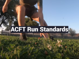 ACFT Run Standards